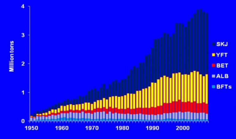 It’s okay to eat Mexican Bluefin Tuna